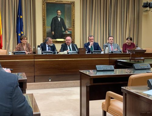 CONSTITUCIÓN COMISIÓN MIXTA DEL DEFENSOR DEL PUEBLO