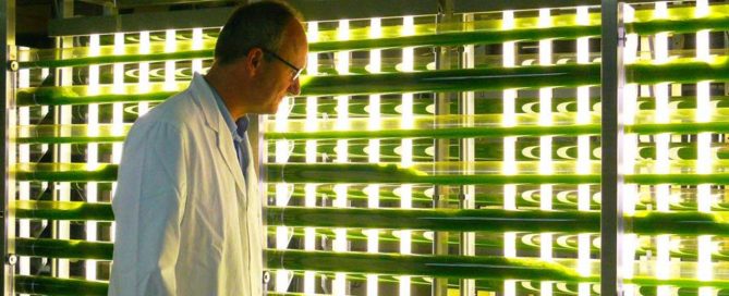 industria sostenible